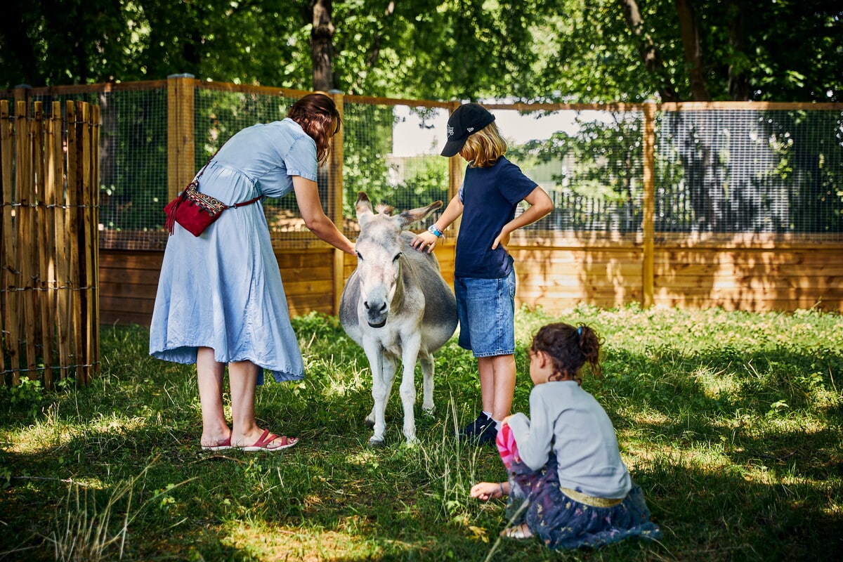 La Ferme La Villette la-ferme-la-villette