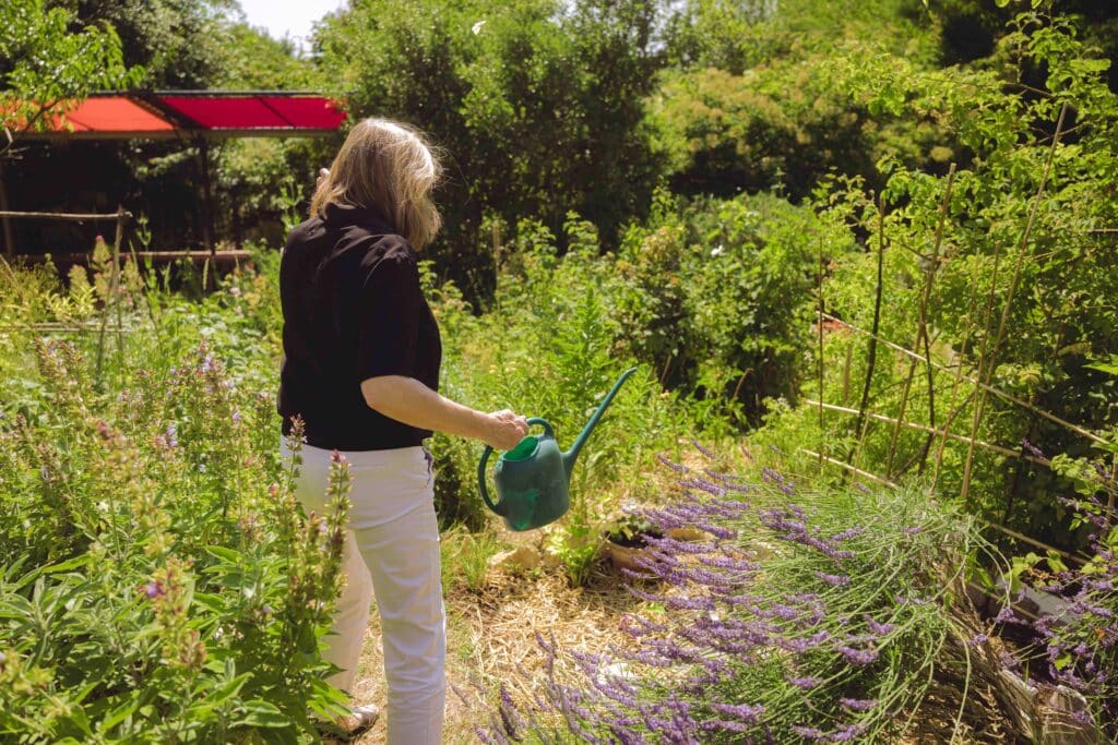 Personne arrosant des plantes dans un jardin verdoyant et fleuri