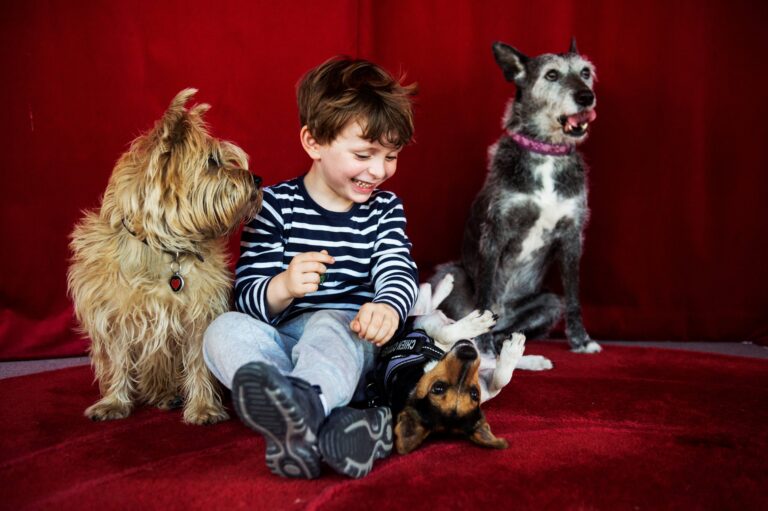 Enfant qui rigole avec 3 chiens devant un fond rouge.