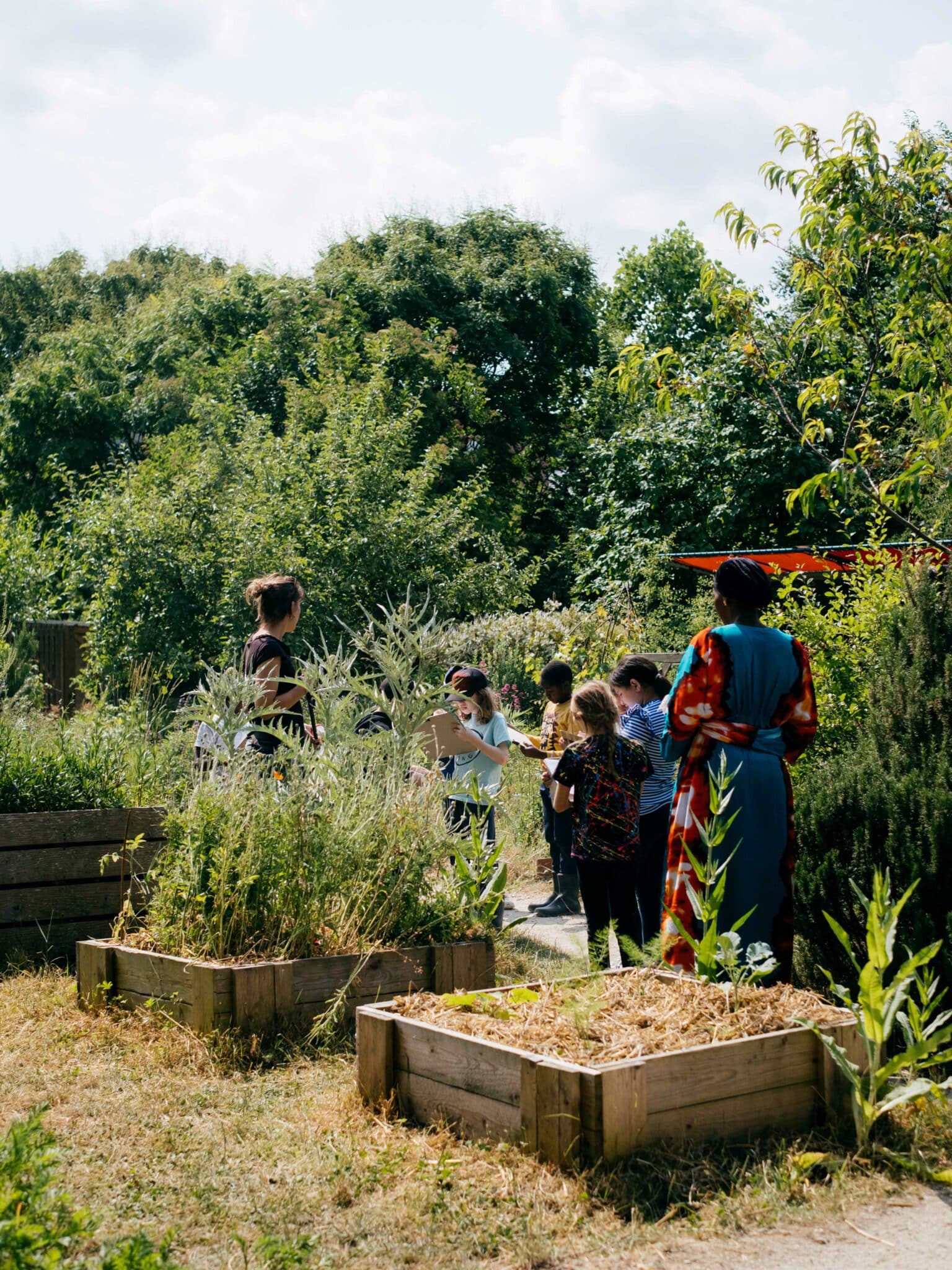 Atelier Les insectes jardiniers dans les jardins passagers de la Villette : les enfants observent les insectes dans leur habitat naturel