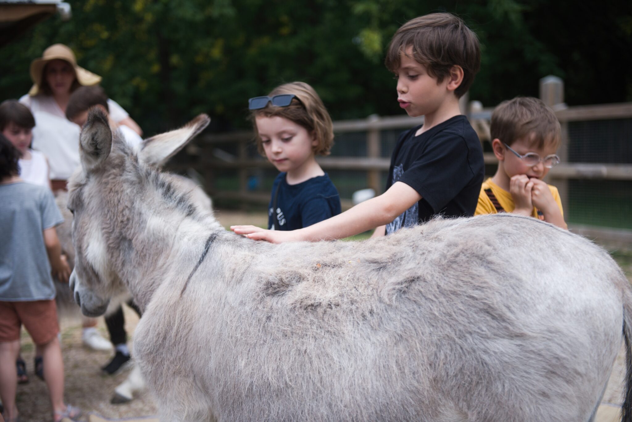 Atelier Les Petits Éthologues à la Ferme de la Villette : des enfants caressent un âne et découvrent la relation avec les animaux.