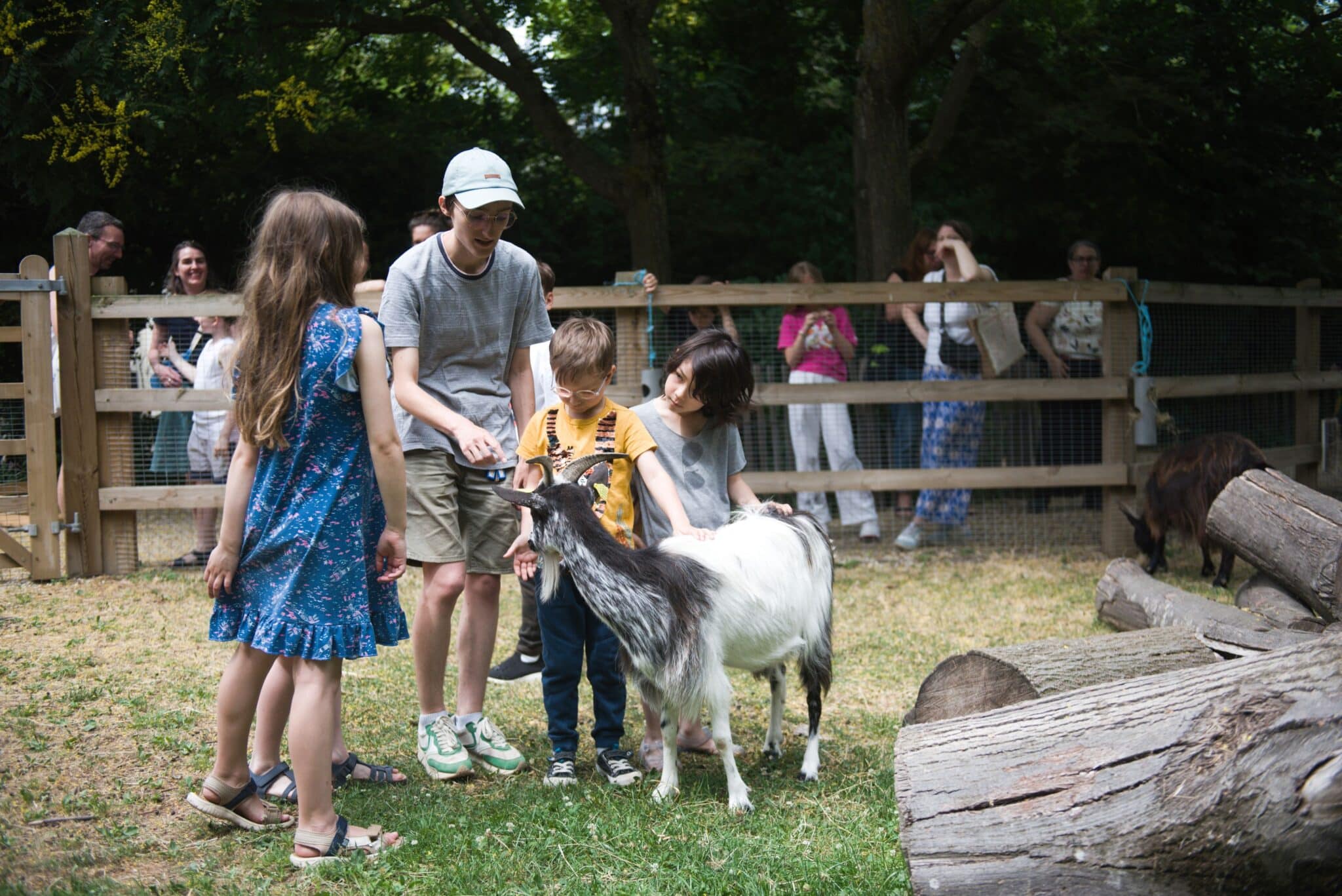 Atelier Les Petits Éthologues à la Ferme de la Villette : des enfants nourrissent et caressent une chèvre en plein air.