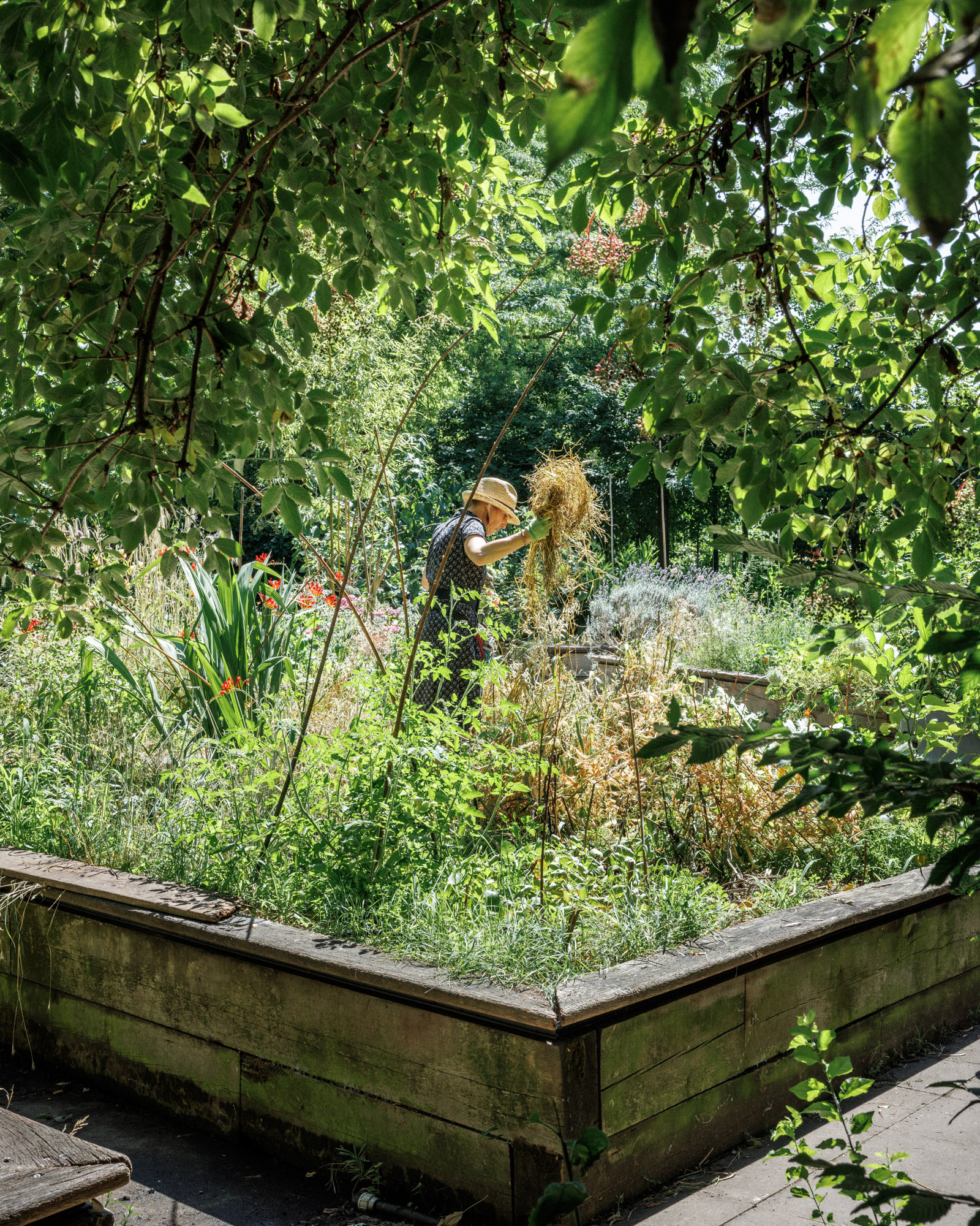 Une dame en train de jardiner dans les jardins passagers de la Villette