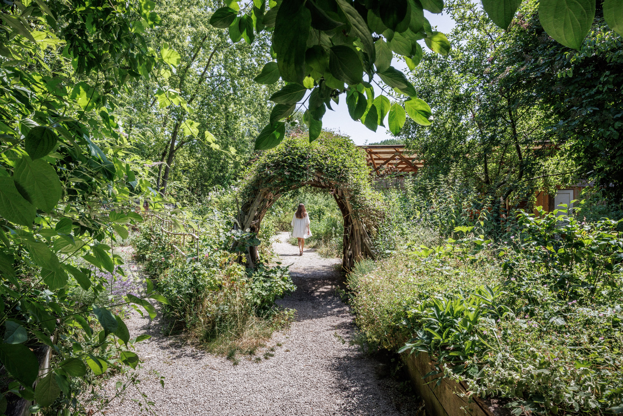 Allée végétale des jardins de La Villette, Paris