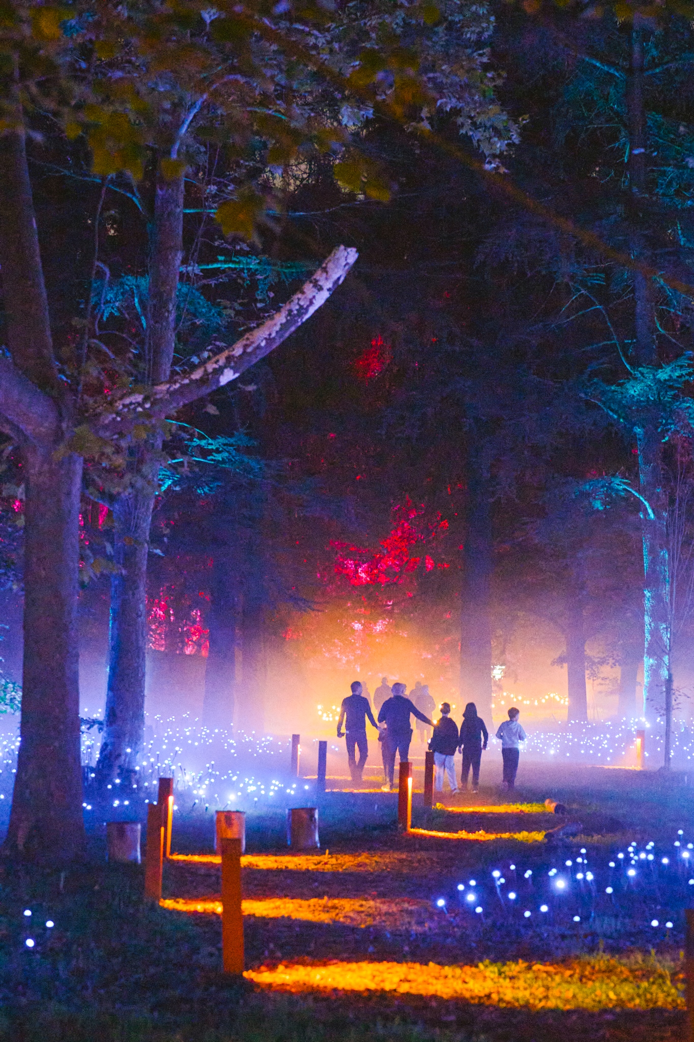 Light Cycles Paris La Villette, parcours lumineux immersif