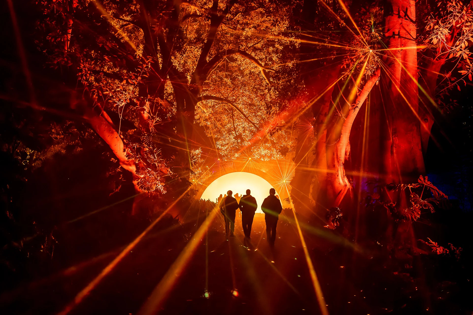 Light Cycles, parcours d'illuminations dans le parc de la Villette
